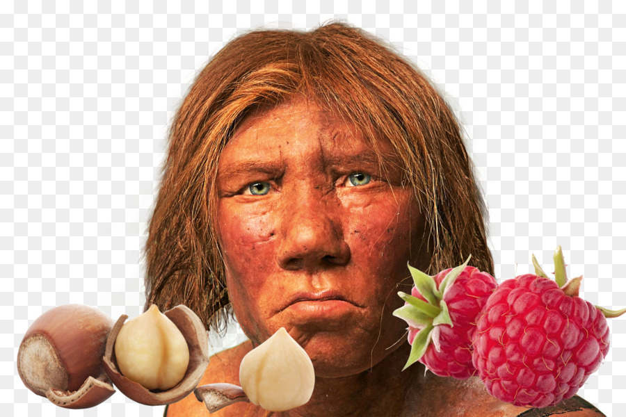 Neanderthal，Orang Bijak PNG