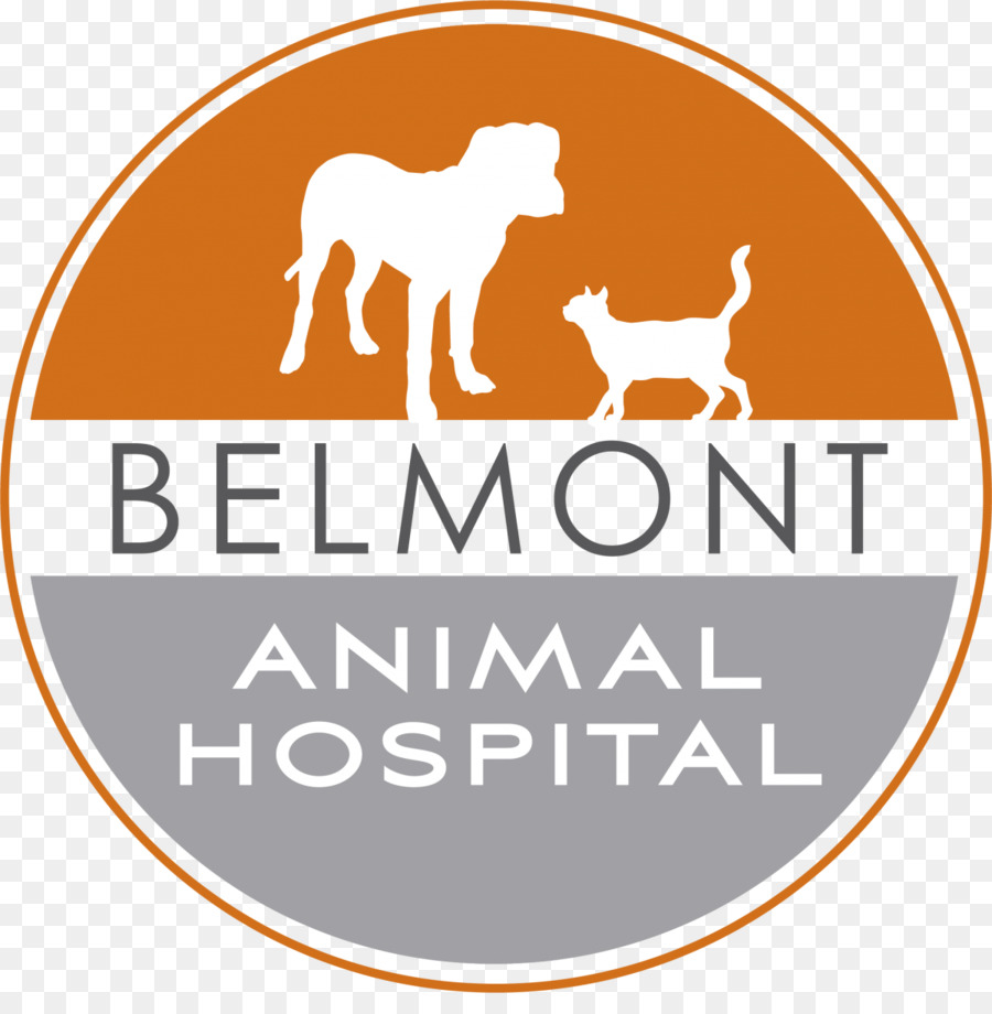 Belmont Rumah Sakit Hewan，Anjing PNG