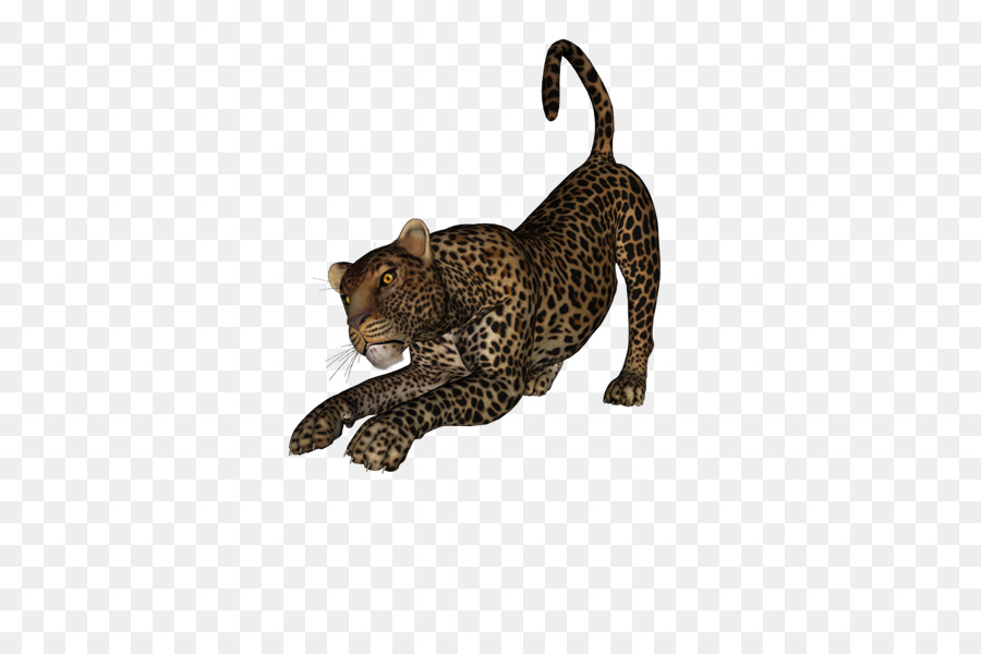 Macan Tutul，Sepatu Cheetah PNG