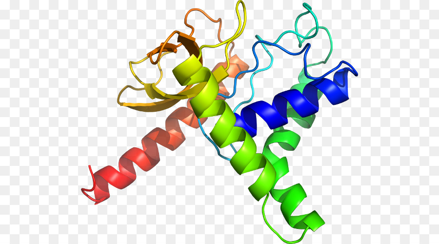 Heliks Protein，Molekul PNG