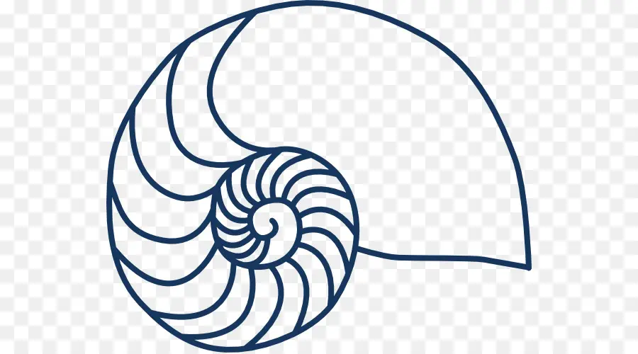 Cangkang Nautilus，Spiral PNG