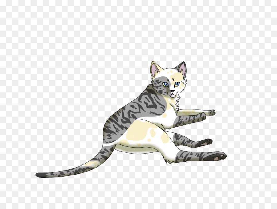 Tabby Kucing，Gambar PNG