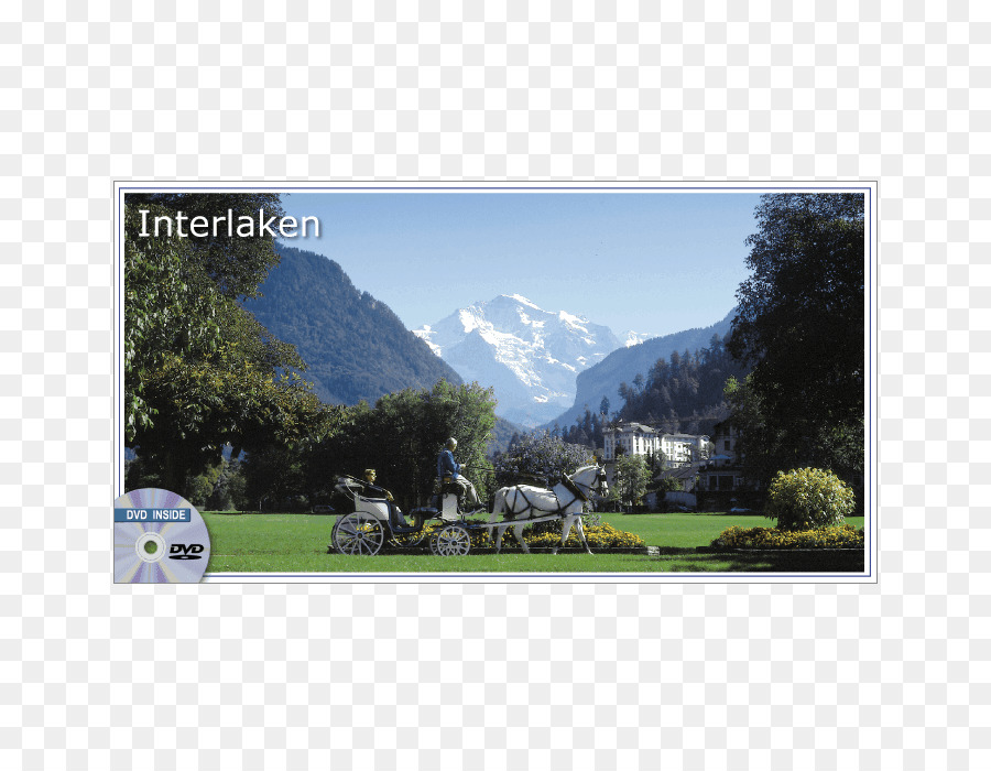 Interlaken，Grindelwald PNG