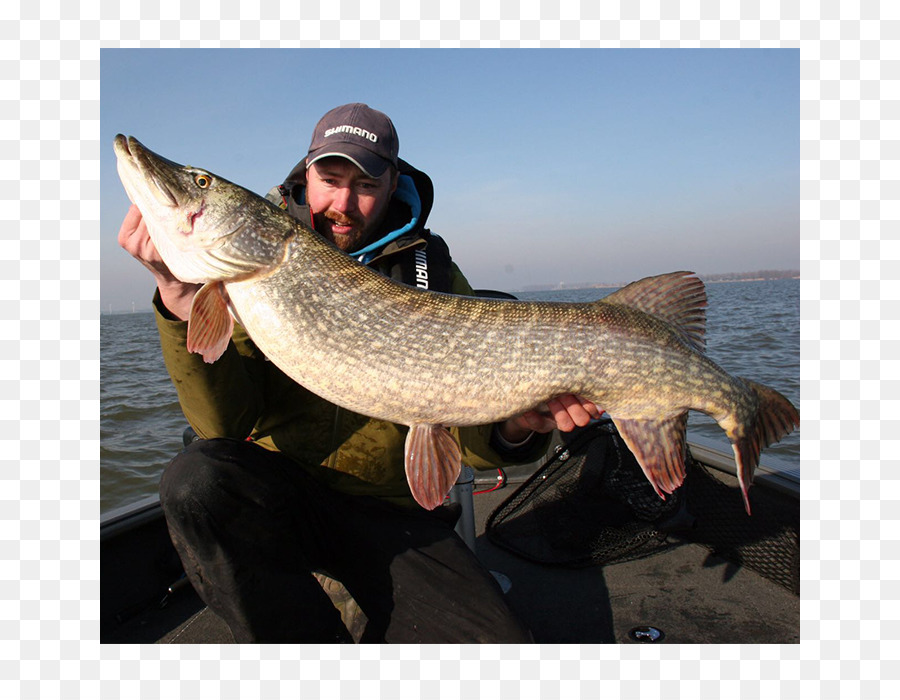 Pike Utara，Memancing PNG