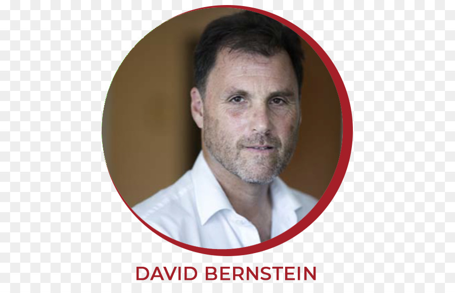 David Bernstein P，Skema Terapi PNG