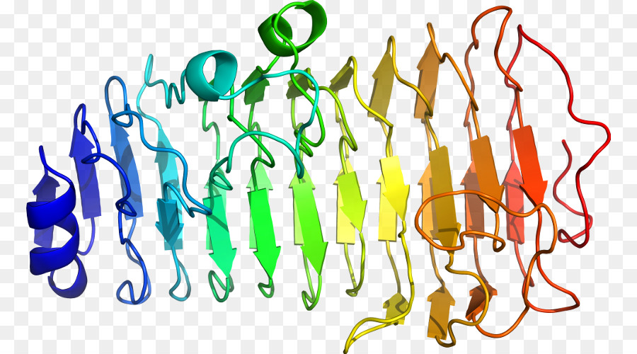 Heliks Protein，Molekul PNG