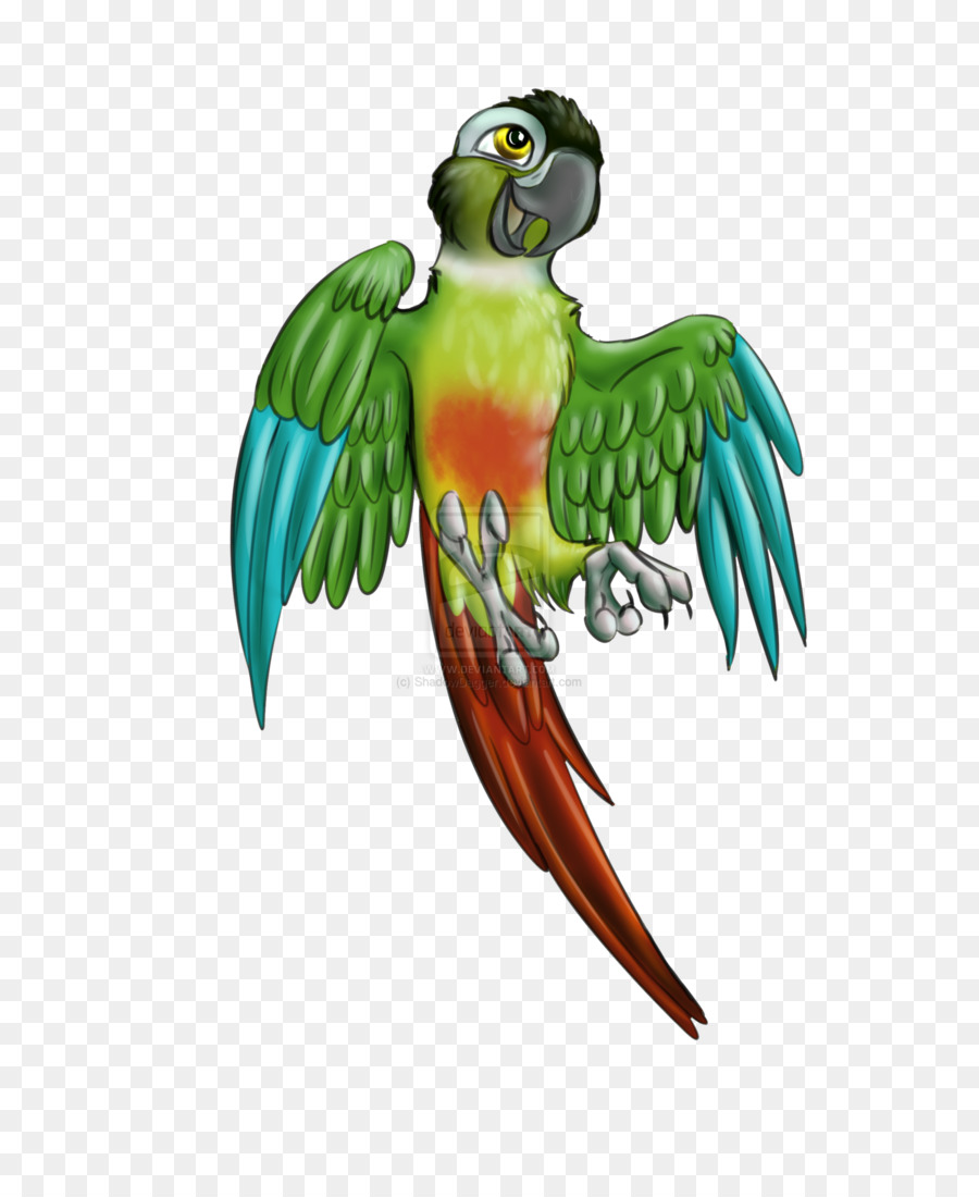 Burung Kesturi，Lovebird PNG
