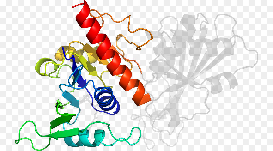 Heliks Protein，Molekul PNG