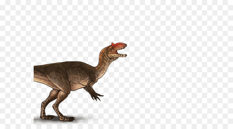 Stegosaurus，Prasejarah PNG