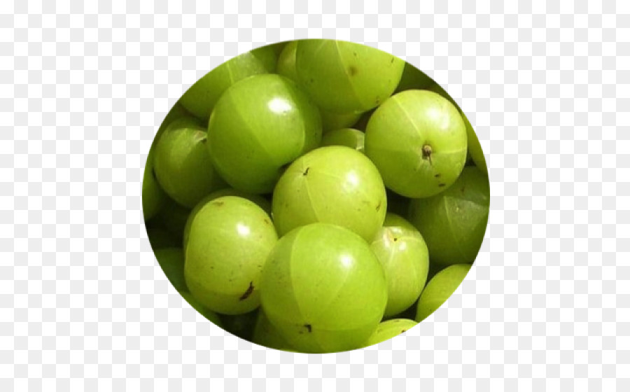 Gooseberry India，India PNG