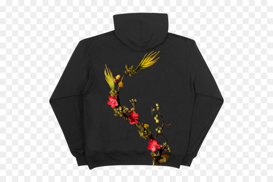 Hoodie，Tshirt PNG