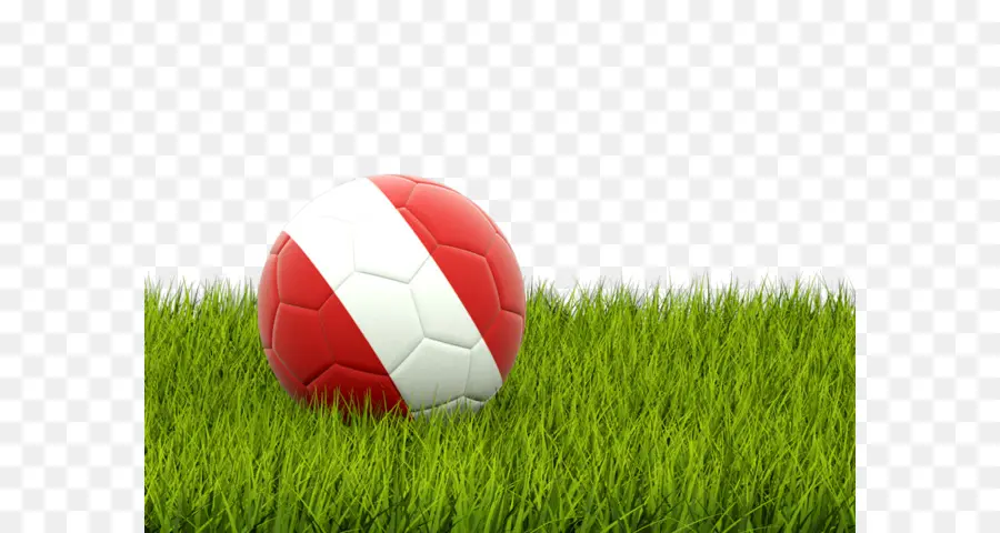 Tim Nasional Sepak Bola Albania，Bendera PNG