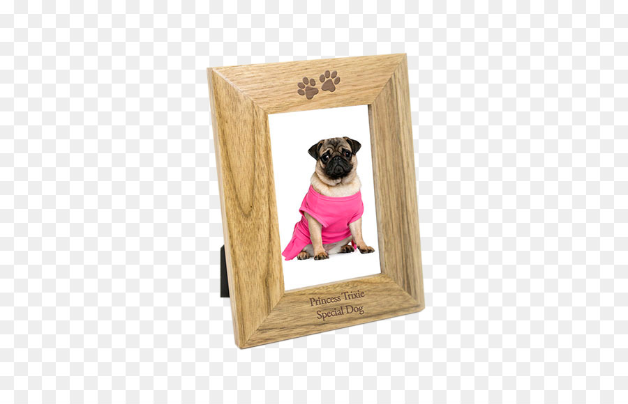 Pug，Anjing PNG