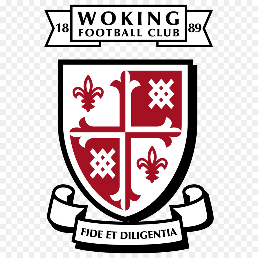 Kingfield Stadion，Woking Fc PNG