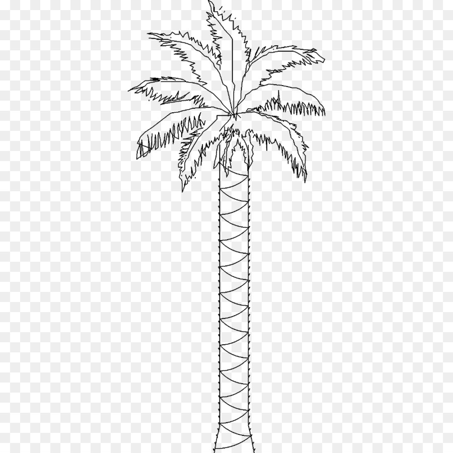 Ranting，Arecaceae PNG