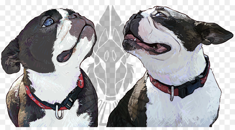 Boston Terrier，Anjing Berkembang Biak PNG