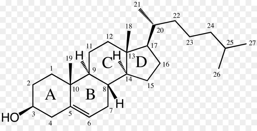 Sterol，Alkena PNG