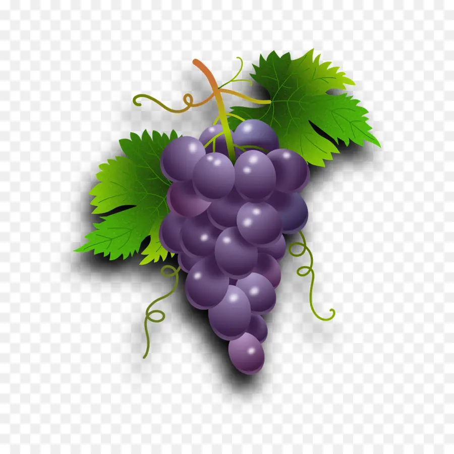 Anggur，Umum Anggur Anggur PNG