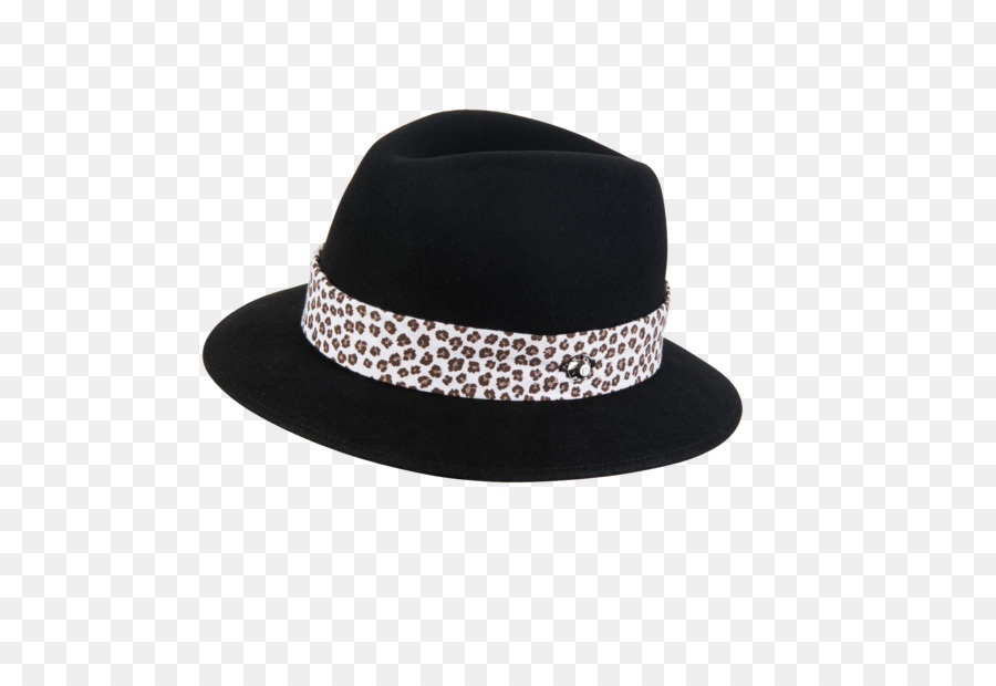 Fedora， PNG