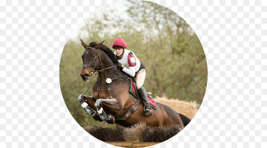 Eventing，Berkuda PNG