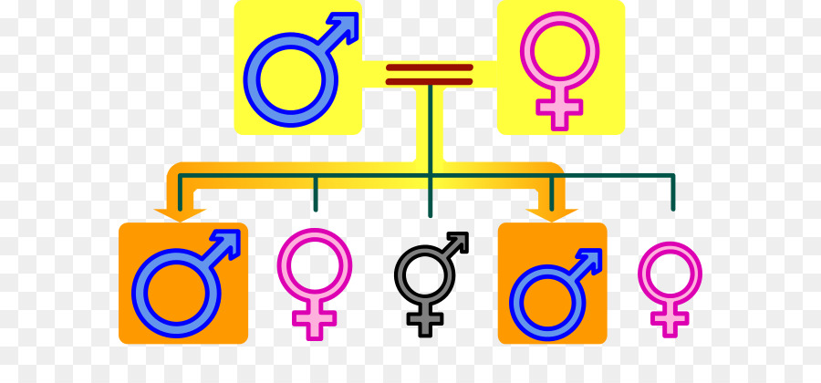 Simbol Gender，Pria PNG