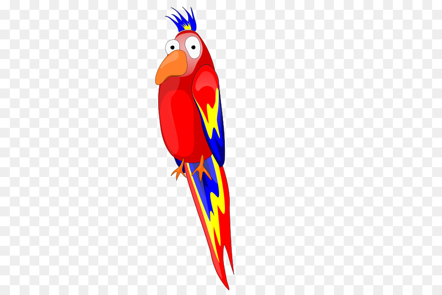 Macaw，Burung Beo PNG