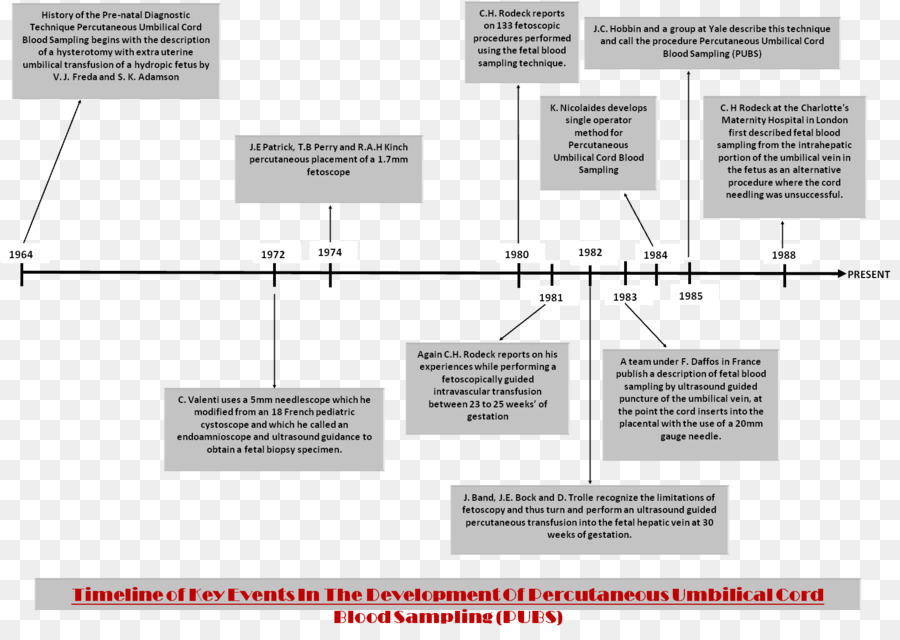 Diagram，Otak PNG