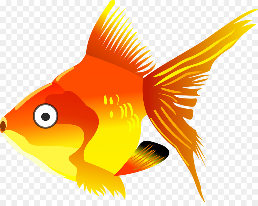 Ikan Mas, Koi, Kartun gambar png