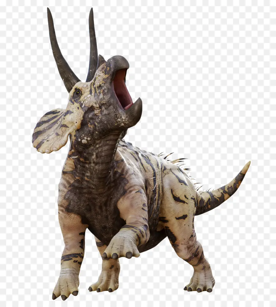 Triceratop，Prasejarah PNG