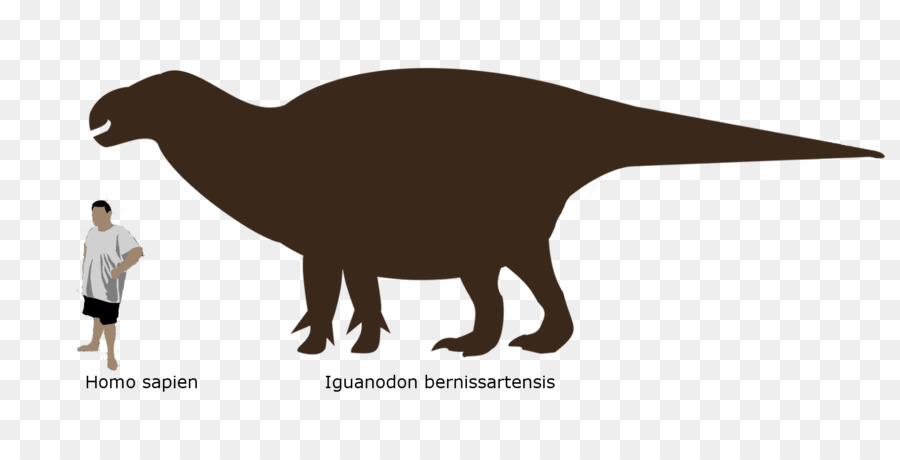 Dinosaurus，Triceratops PNG