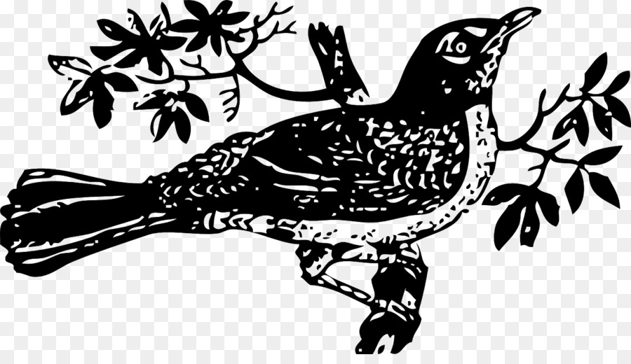 Untuk Membunuh Mockingbird，Mockingbird PNG