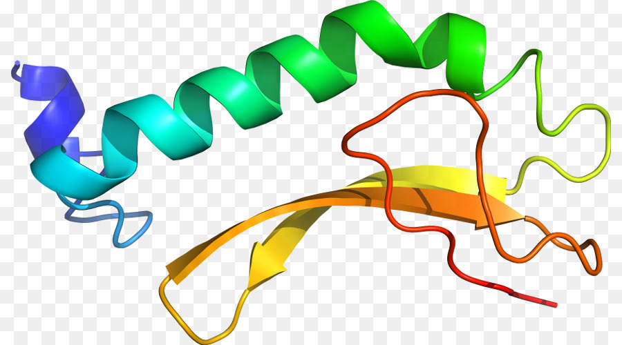 Heliks Protein，Molekul PNG