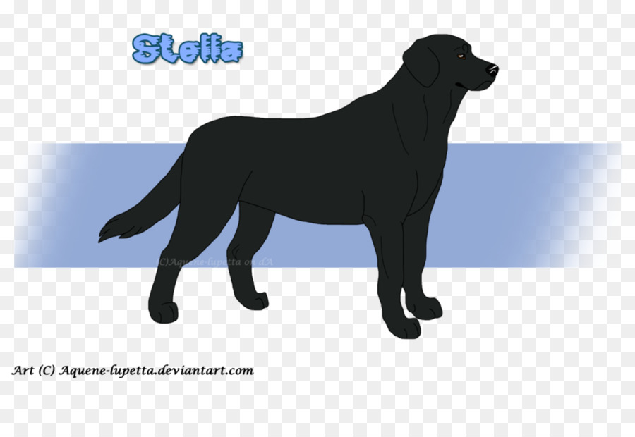 Labrador Retriever，Flatcoated Retriever PNG