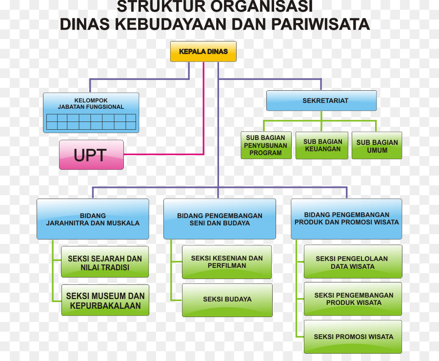 Dinas Pariwisata，Organisasi PNG