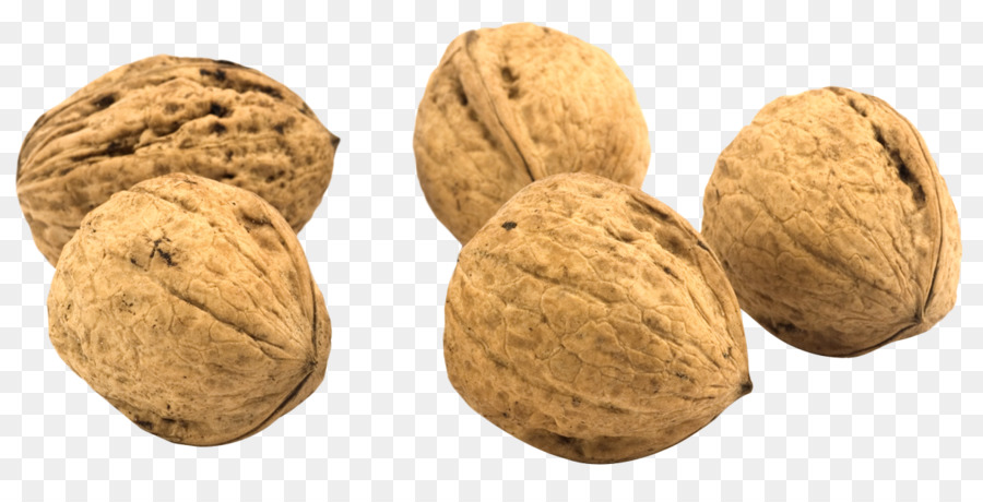 Kenari，Bahasa Inggris Walnut PNG