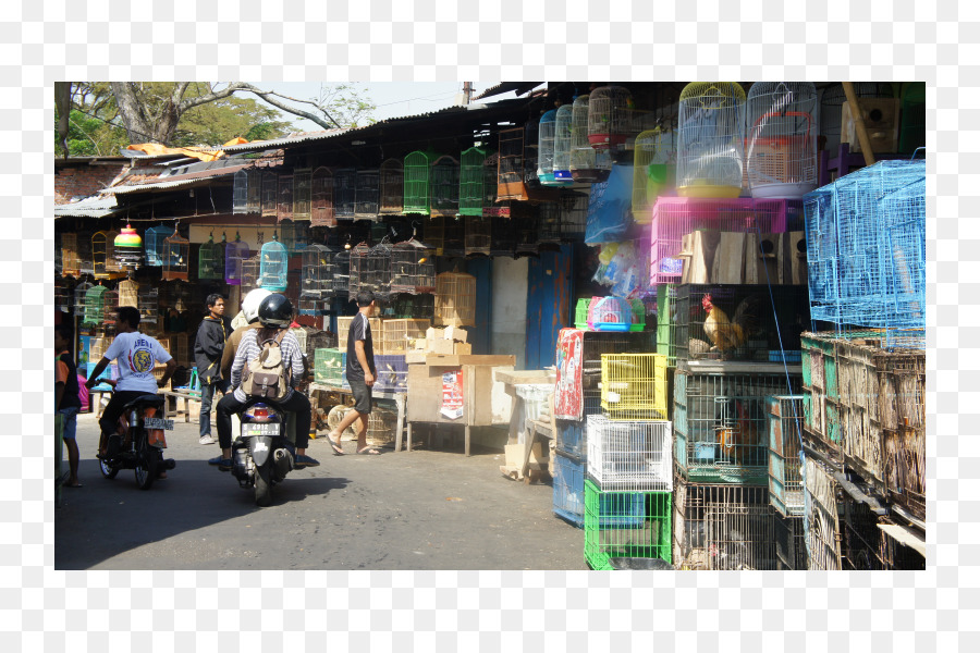 Makanan Jalanan，Bazaar PNG