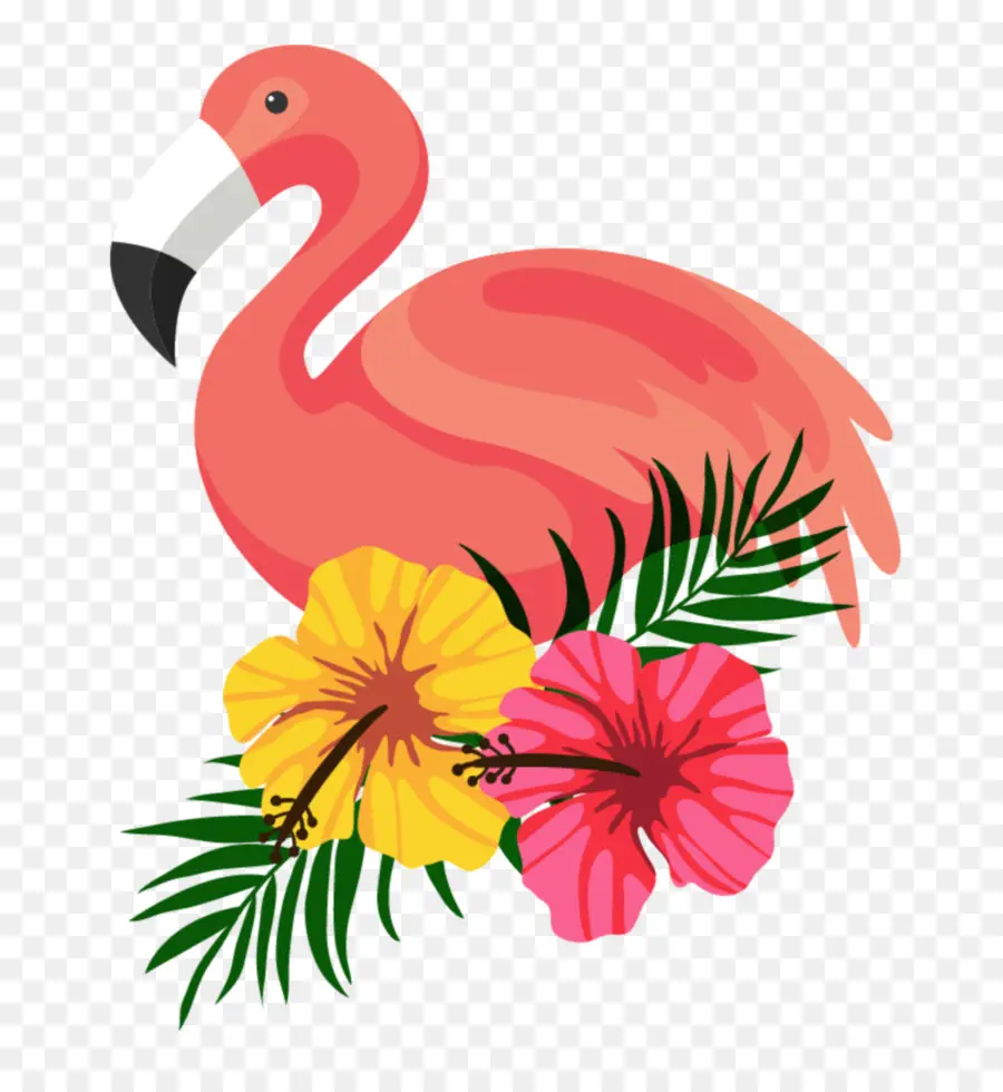 Flamingo，Burung PNG