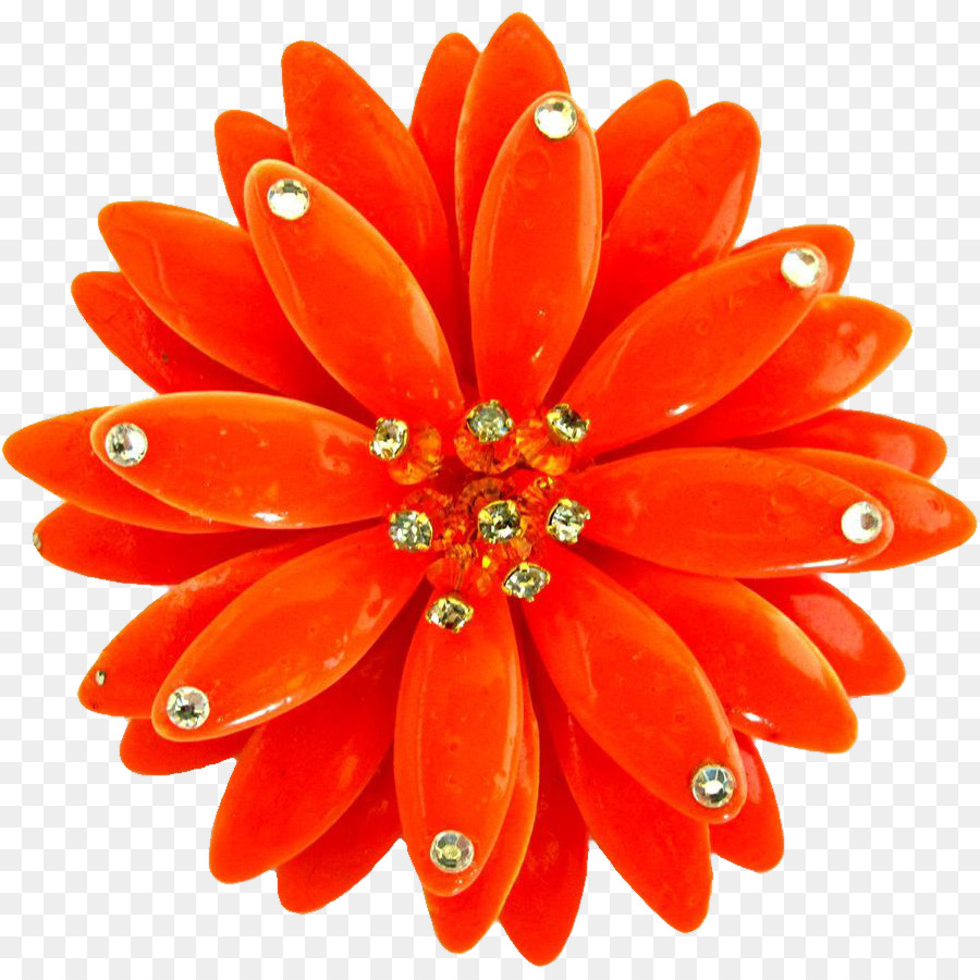 Anting Anting，Orange PNG