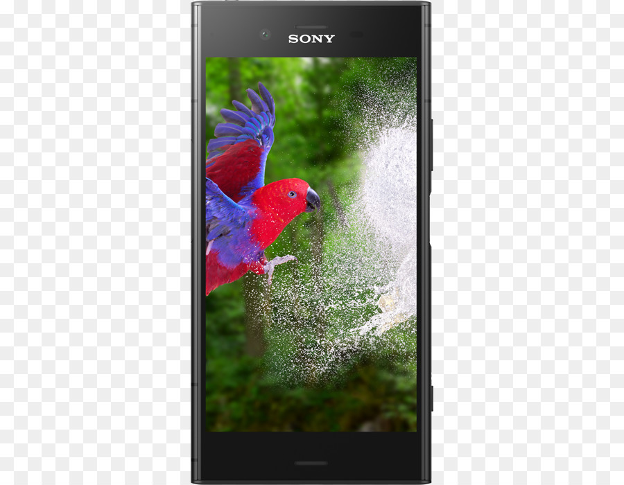 Sony Xperia Xz，Sony Xperia Xz1 Kompak PNG