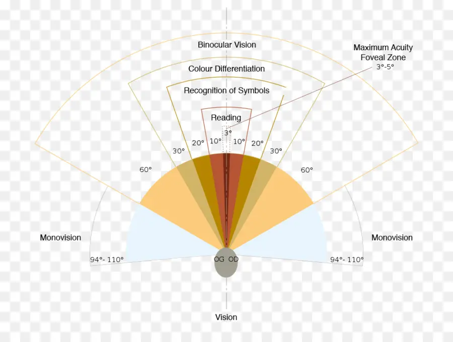 Grafik Bidang Visual，Penglihatan PNG