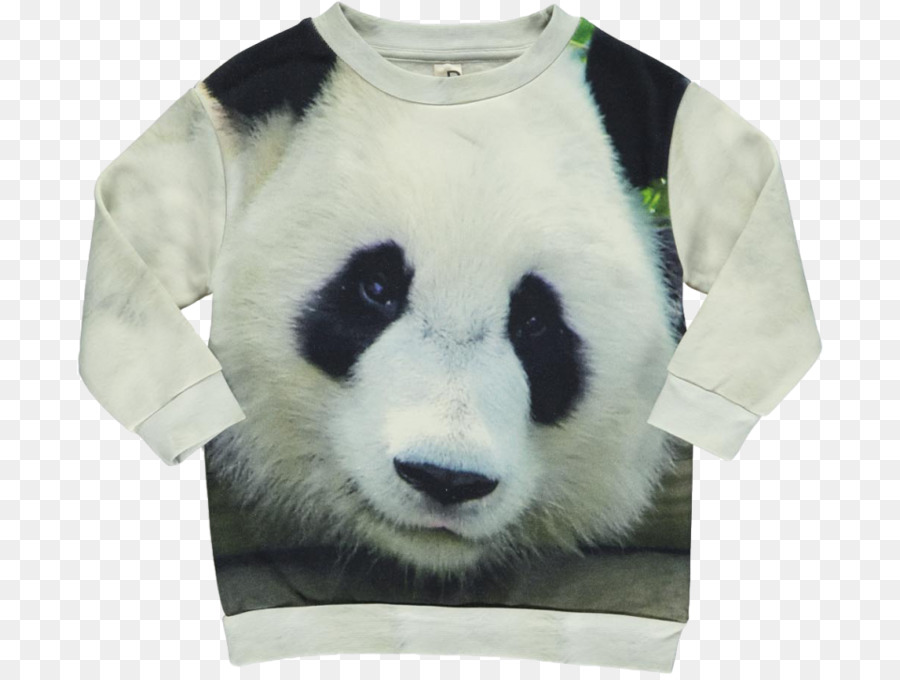 Panda Raksasa，Tshirt PNG
