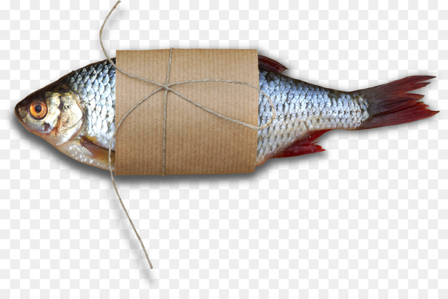 Diabetes Melitus，Ikan PNG