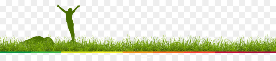 Wheatgrass，Desktop Wallpaper PNG
