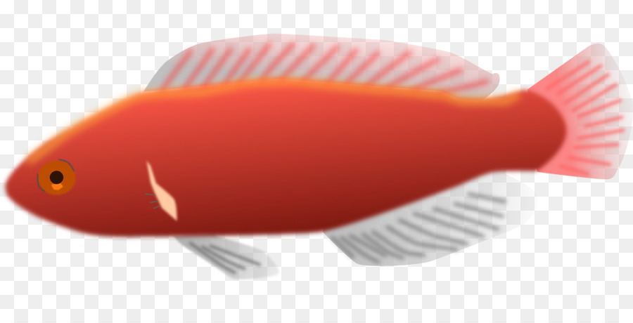 Ikan，Laut PNG