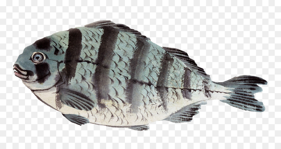 Alam Gambar，Ikan PNG