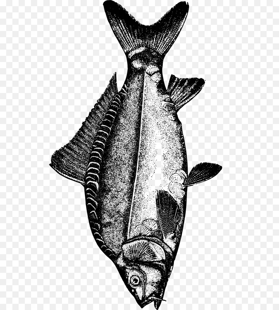 Ikan Mas，Gambar PNG