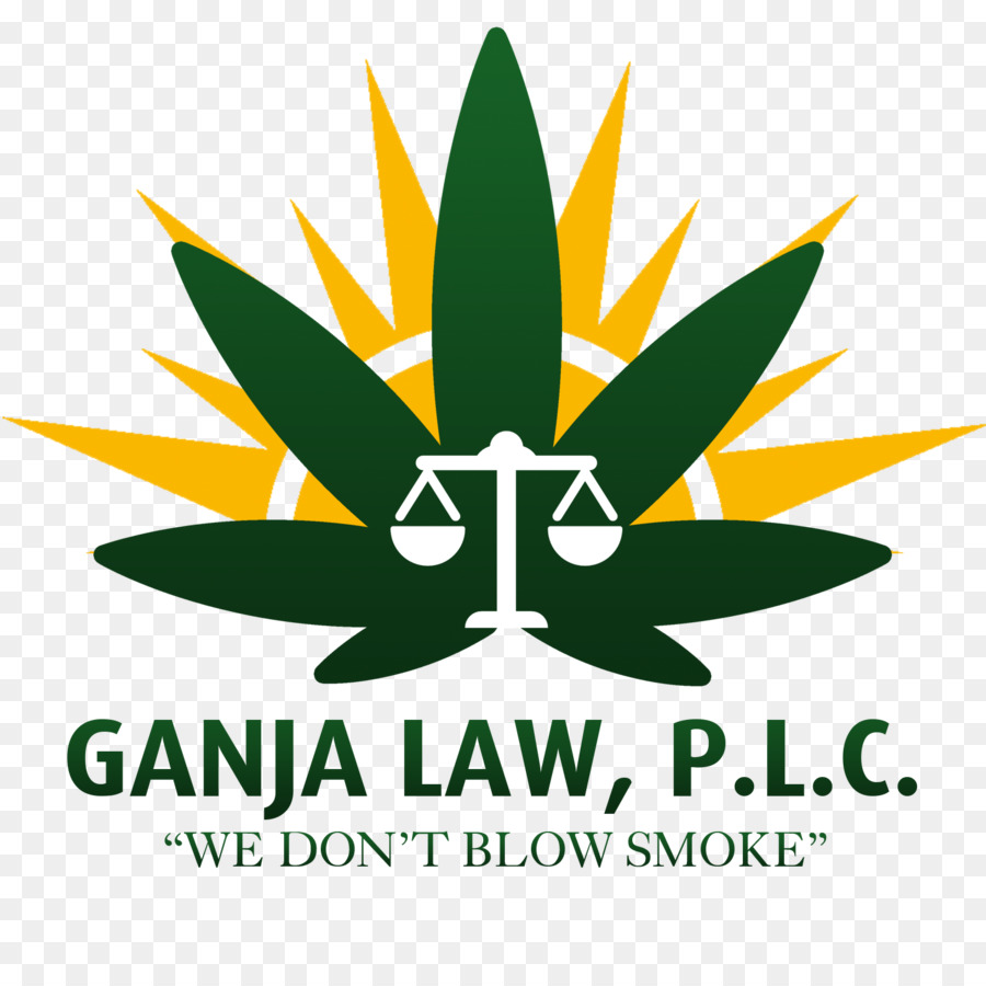 Logo，Daun PNG