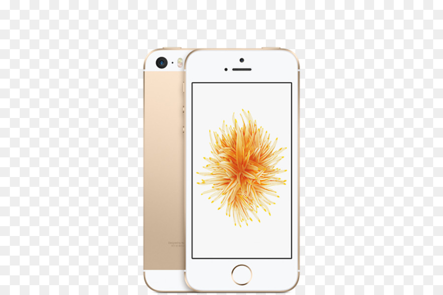 Iphone Se，Apple PNG