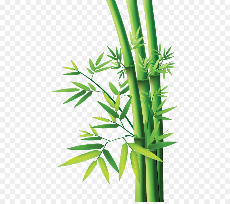 Tropis Kayu Bambu  Lukisan  Bambu  Bambu  Tekstil gambar  png