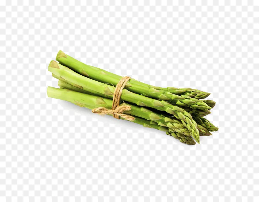 Asparagus，Hijau PNG